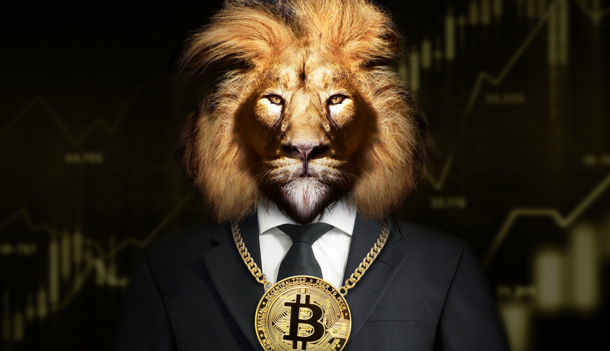 Manhã Cripto: Número de CPFs que declaram criptomoedas triplica no Brasil; Twitter cancela carteira e pode iniciar demissões