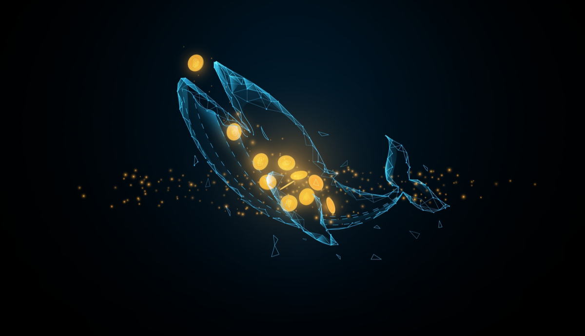 Estudo revela o apetite das Baleias por bitcoin durante a queda do mercado de criptomoedas