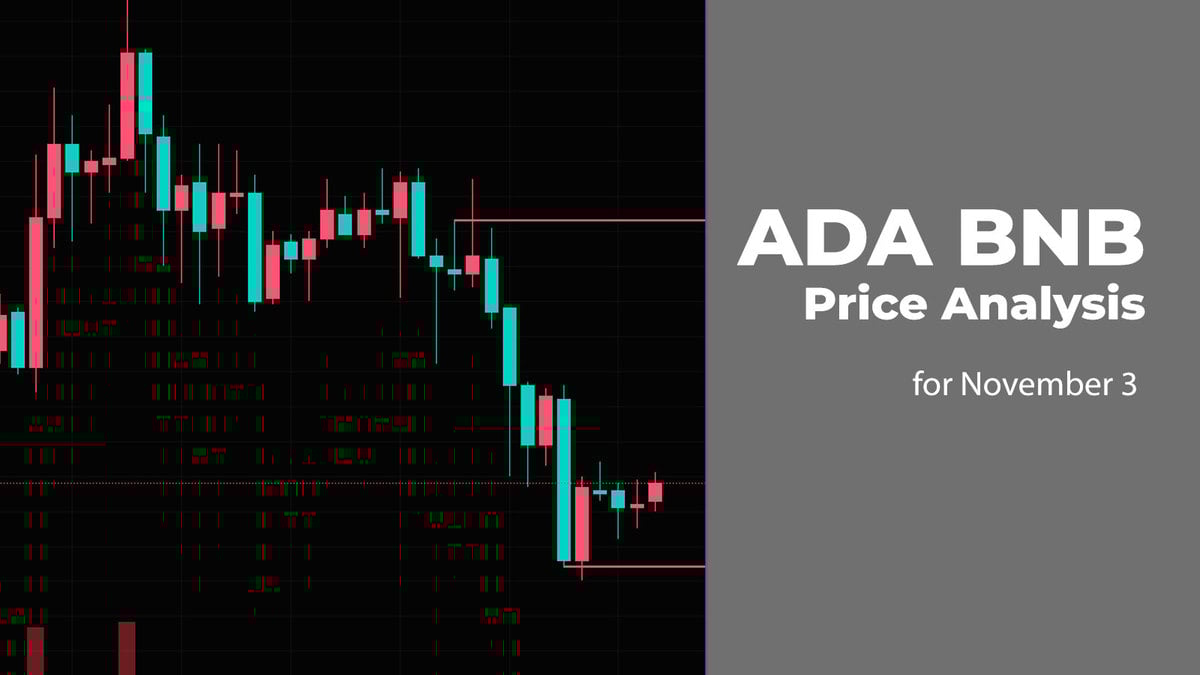 ADA and BNB Price Analysis for November 3