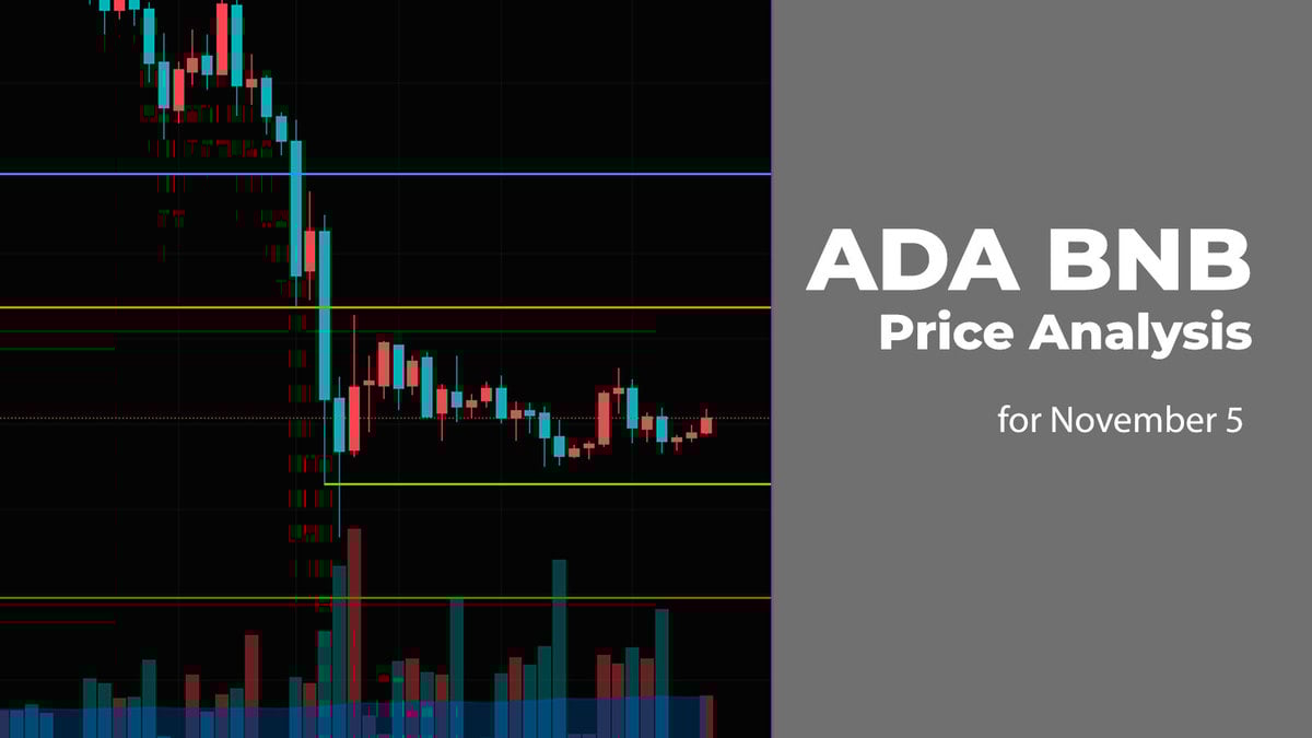ADA and BNB Price Analysis for November 5