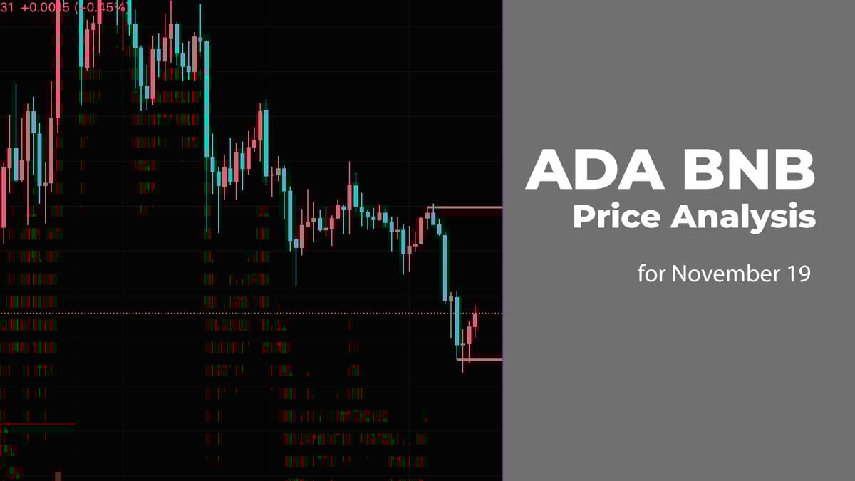 ADA and BNB Price Analysis for November 19