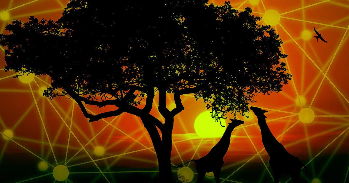 African blockchain investments surpass 2021’s total of $127M