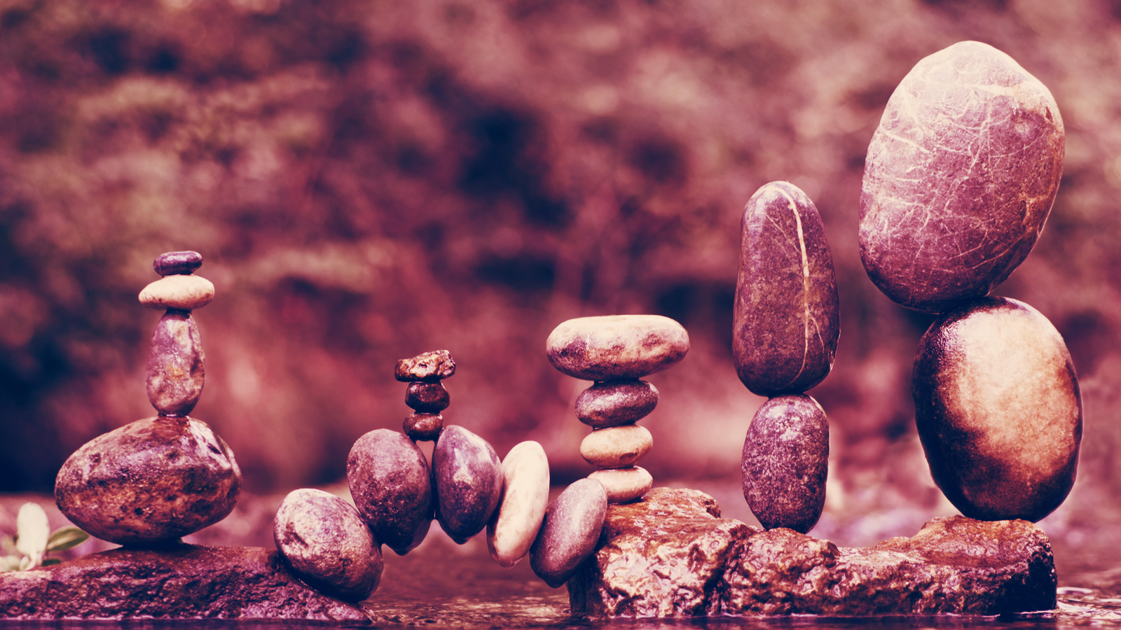 Acala Stablecoin Edges Back to Dollar Peg After Burning 1.29B aUSD