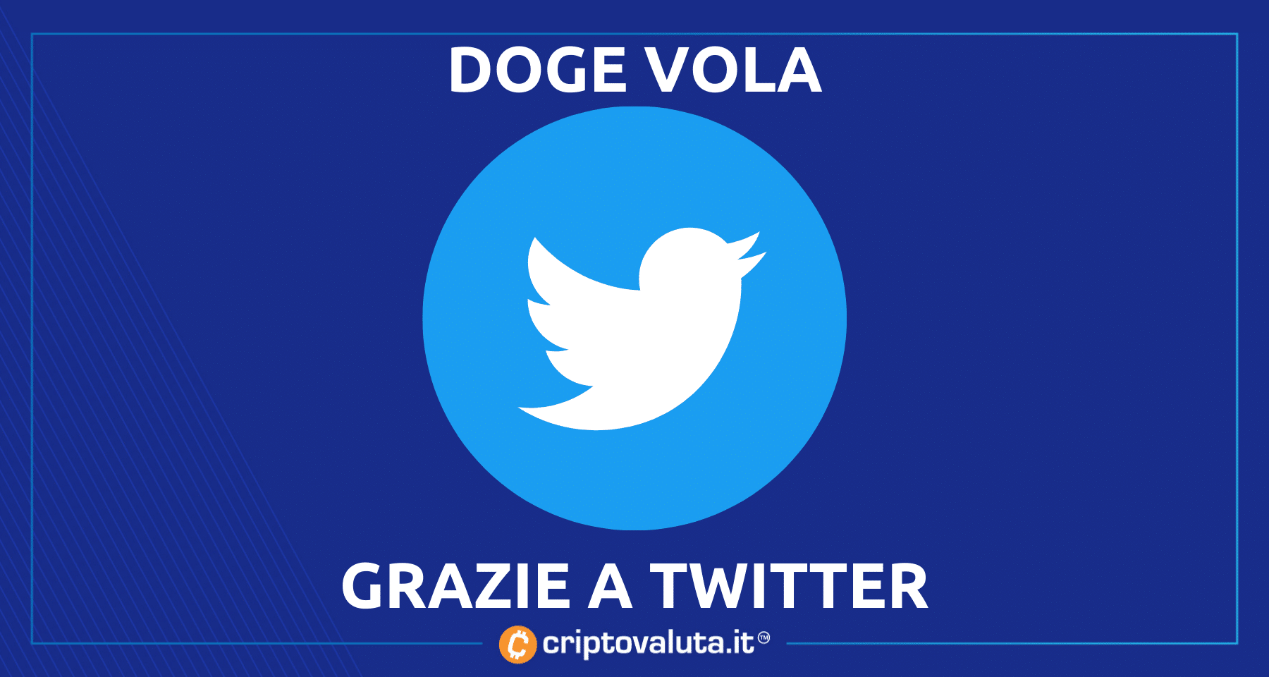 Elon Musk compra Twitter e Dogecoin vola! | Quale sarà il futuro di DOGE ora?
