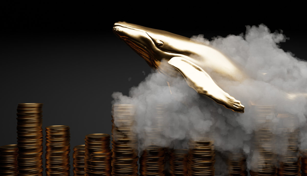 Como a comunidade de uma criptomoeda se uniu para tirar US$ 30 milhões de uma baleia