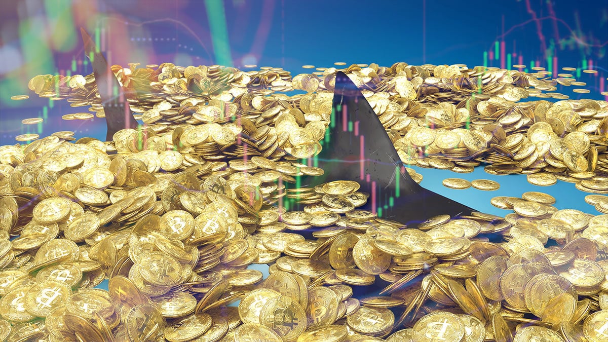 Ricos de bitcoin acumularon secretamente 52.000 BTC en el último mes