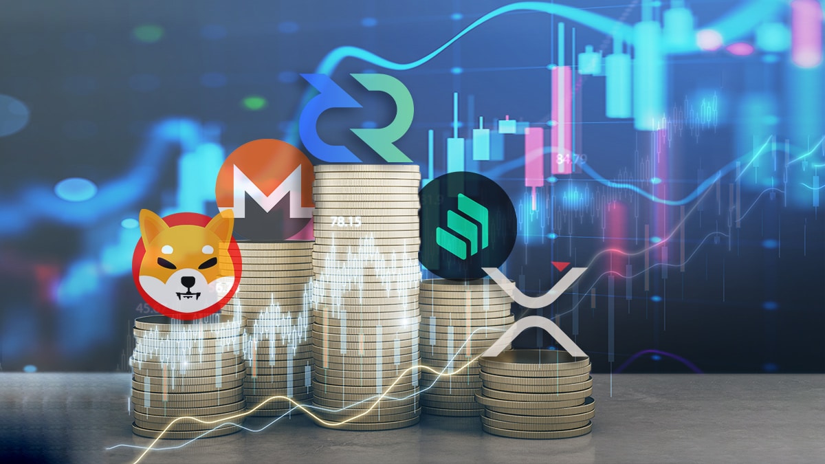 Monero y Shiba Inu entre las 5 criptomonedas que superaron rendimiento de bitcoin