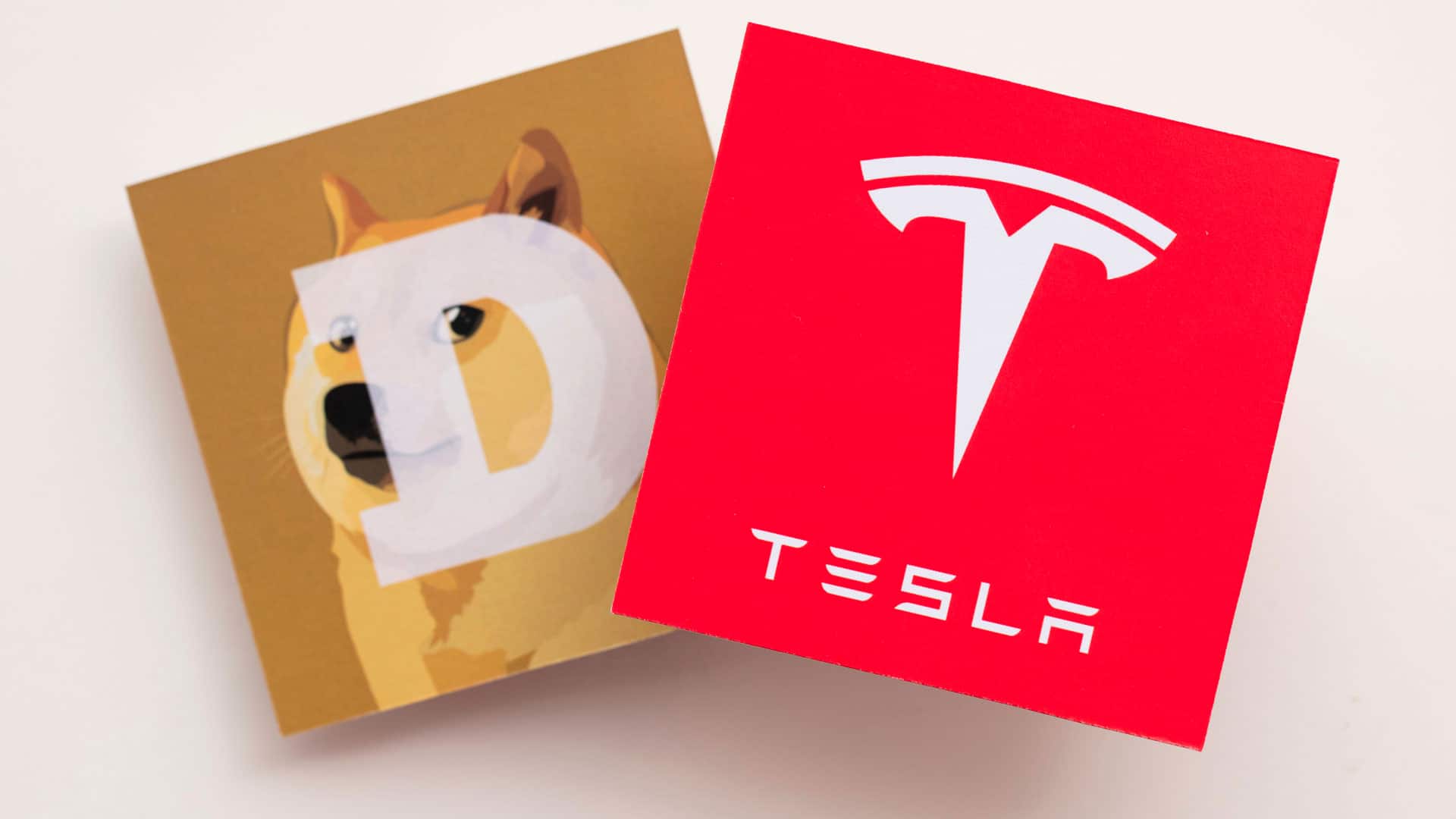 Dogecoin dispara após Elon Musk anunciar que Tesla e SpaceX aceitarão a criptomoeda